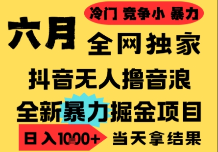 25年6月高爆抖音无人直播最新撸音浪掘金项目，小白可做，无脑日入1k+，门槛低可批量矩阵【揭秘】-灼光资源宝库
