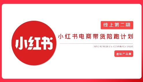 2025小红书虚拟电商实战课，从0到1打造无货源店铺，AI+爆款笔记轻松变现-蘑菇资源宝库