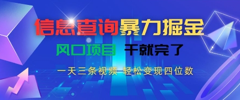 信息查询暴力掘金，一天三条视频，轻松变现四位数，风口项目干就完了【揭秘】-灼光资源宝库