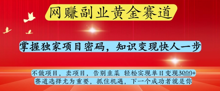 网创副业黄全赛道,掌握独家项目密码,知识变现快人一步,告别韭菜轻松实现单日变现1k+【揭秘】-灼光资源宝库