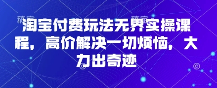 淘宝付费玩法无界实操课程,高价解决一切烦恼,大力出奇迹-灼光资源宝库