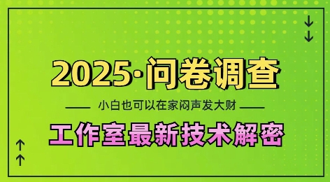 2025问卷调查最新工作室技术解密：一个人在家也可以闷声发大财，小白一天2张，可矩阵放大【揭秘】-灼光资源宝库