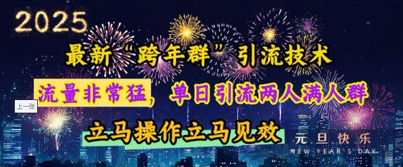 最新“跨年群”引流，流量非常猛，单日引流两人满人群，立马操作立马见效【揭秘】-灼光资源宝库