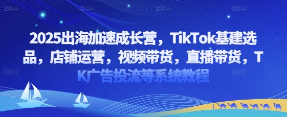 2025出海加速成长营，TikTok基建选品，店铺运营，视频带货，直播带货，TK广告投流等系统教程-灼光资源宝库
