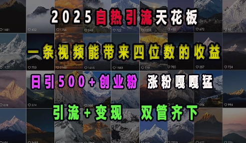 2025自热引流天花板，一条视频能带来四位数的收益，引流+变现双管齐下，日引500+创业粉，涨粉嘎嘎猛-灼光资源宝库