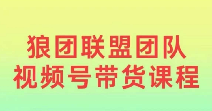狼团联盟2024视频号带货,0基础小白快速入局视频号-灼光资源宝库