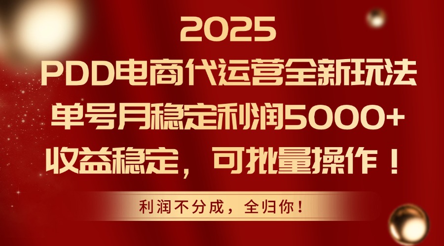 2025PDD电商代运营全新玩法，单号月稳定利润5000+，收益稳定，可批量操作-灼光资源宝库