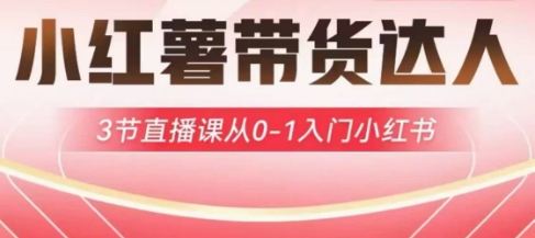 小红薯达人带货启航计划，3节直播课从0-1入门小红书-灼光资源宝库