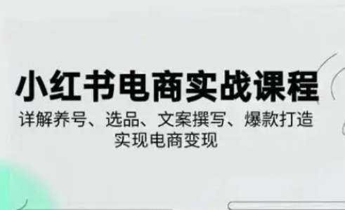 小红书从0-1实操课(2023-2025)，详解养号、选品、文案撰写、爆款打造实现电商变现-灼光资源宝库