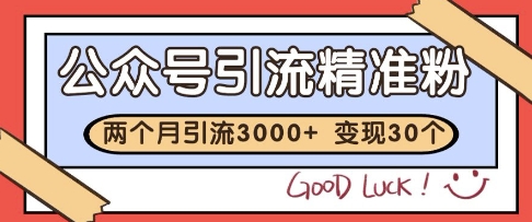 公众号精准粉引流玩法，2个月3000+精准粉，变现30个W【揭秘】-灼光资源宝库