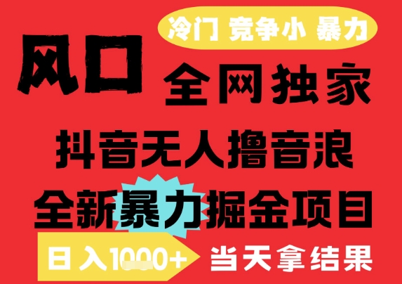 25年6月高爆抖音无人直播最新撸音浪掘金项目，解放双手小白可做，无脑日入1k+，门槛低【揭秘】-灼光资源宝库