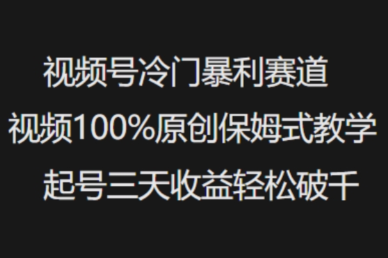 视频号冷门暴利赛道视频100%原创保姆式教学起号三天收益轻松破千-灼光资源宝库