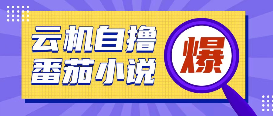 首发云手机自撸小说玩法，10块钱成本可撸200+收益操作简单【揭秘】-灼光资源宝库