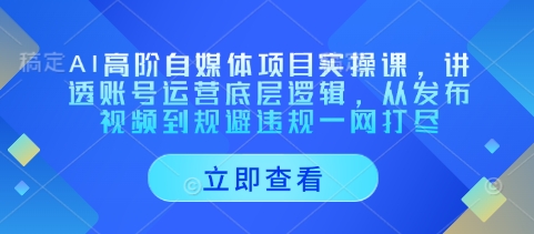 AI高阶自媒体项目实操课，讲透账号运营底层逻辑，从发布视频到规避违规一网打尽-灼光资源宝库
