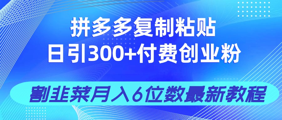 拼多多复制粘贴日引300+付费创业粉，割韭菜月入6位数最新教程！-灼光资源宝库