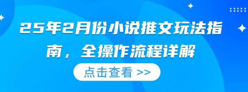 25年2月份小说推文玩法指南，全操作流程详解-灼光资源宝库