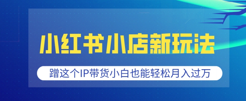 小红书小店新玩法，蹭这个IP带货，小白也能轻松月入过W【揭秘】-灼光资源宝库