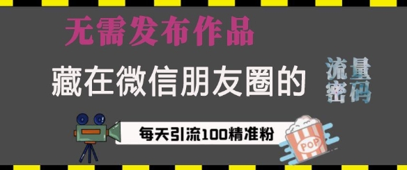 藏在微信朋友圈的流量密码，无需发布作品，单日引流100+精准创业粉【揭秘】-灼光资源宝库