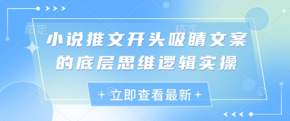 小说推文开头吸睛文案的底层思维逻辑实操-灼光资源宝库