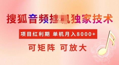 全网首发搜狐音频挂JI独家技术，项目红利期，可矩阵可放大，稳定月入8k【揭秘】-灼光资源宝库