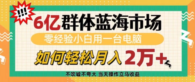 6亿群体蓝海市场，零经验小白用一台电脑，如何轻松月入过w【揭秘】-灼光资源宝库