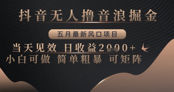 抖音无人撸音浪掘金,五月最新风口项目,当天见效,日收益多张,小白可做简单粗暴可矩阵【揭秘】-灼光资源宝库