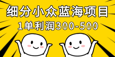 细分小众蓝海项目，一单利润3张，每月收入稳定过1w+-灼光资源宝库