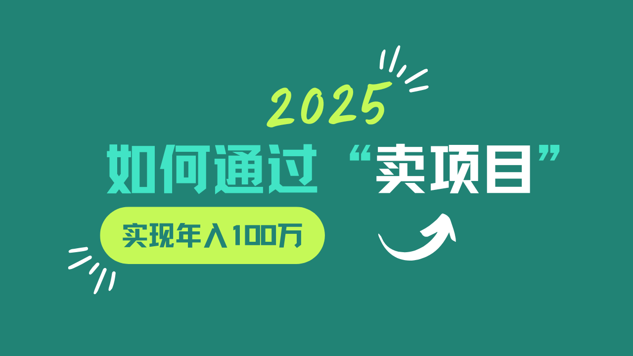 2025年如何通过“卖项目”实现年入100w-灼光资源宝库