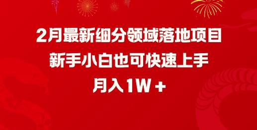 2月最新细分领域落地项目，新手小白也可快速上手，月入1W-灼光资源宝库