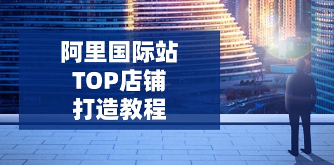 阿里国际站TOP店铺打造教程：涵盖平台到高阶，解决运营难题，提升询盘-灼光资源宝库