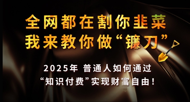 全网都在割你韭菜，我来教你做镰刀，2025年普通人如何通过 知识付费 实现财F自由【揭秘】-灼光资源宝库