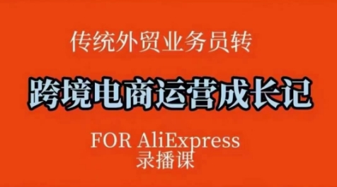 跨境电商速卖通运营课，​运营方法论+后台实操，逻辑清晰-灼光资源宝库