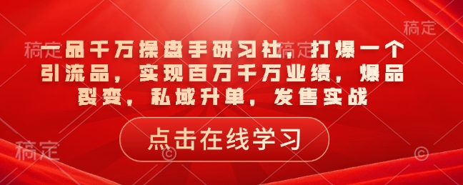 一品千万操盘手研习社，打爆一个引流品，实现百万千万业绩，爆品裂变，私域升单，发售实战-灼光资源宝库