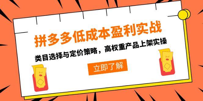 拼多多低成本盈利实战,类目选择与定价策略,高权重产品上架实操-灼光资源宝库