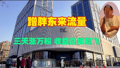 蹭胖东来流量，三天涨万粉，收益直接起飞-灼光资源宝库