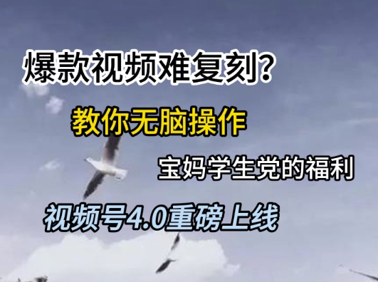 视频号4.0重磅上线，爆款视频难复刻？教你无脑操作宝妈学生党的福利【揭秘】-灼光资源宝库