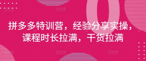 拼多多特训营，经验分享实操，课程时长拉满，干货拉满(更新25年4月)-灼光资源宝库