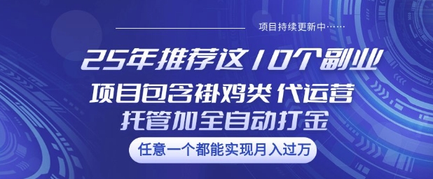 25年推荐这10个副业项目包含褂鸡类、代运营托管类、全自动打金类【揭秘】-灼光资源宝库