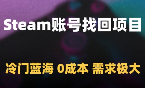Steam账号找回项目,冷门蓝海,0成本,需求极大-灼光资源宝库