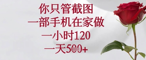 你只管截图,一部手机在家可以做,一小时120.一天5张+【揭秘】-灼光资源宝库