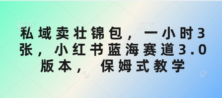 私域卖壮锦包，一小时3张，小红书蓝海赛道3.0版本， 保姆式教学-灼光资源宝库
