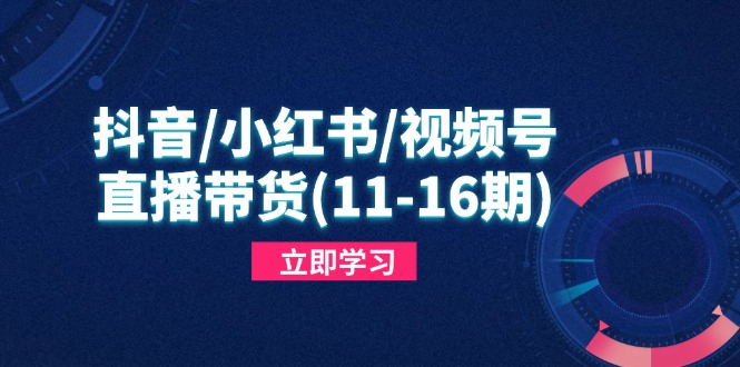 抖音/小红书/视频号/直播带货(11-16期-灼光资源宝库