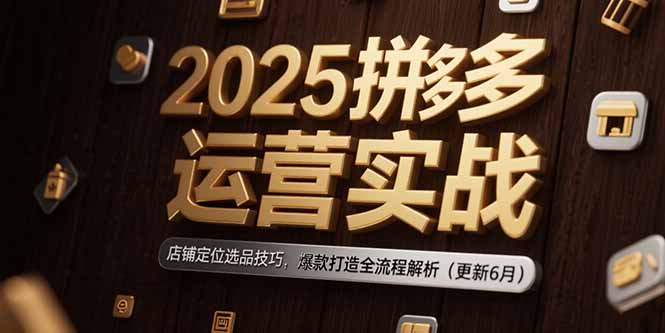 2025拼多多运营实战:店铺定位选品技巧,爆款打造全流程解析(更新6月-灼光资源宝库