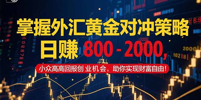掌握外汇黄金对冲策略，日赚 800 – 2000，小众高回报创业机会，助你实…-灼光资源宝库