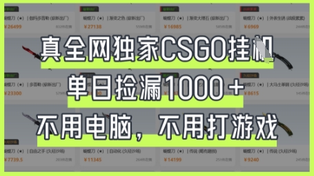 真全网独家CSGO挂G，单日捡漏1k+【揭秘】-灼光资源宝库