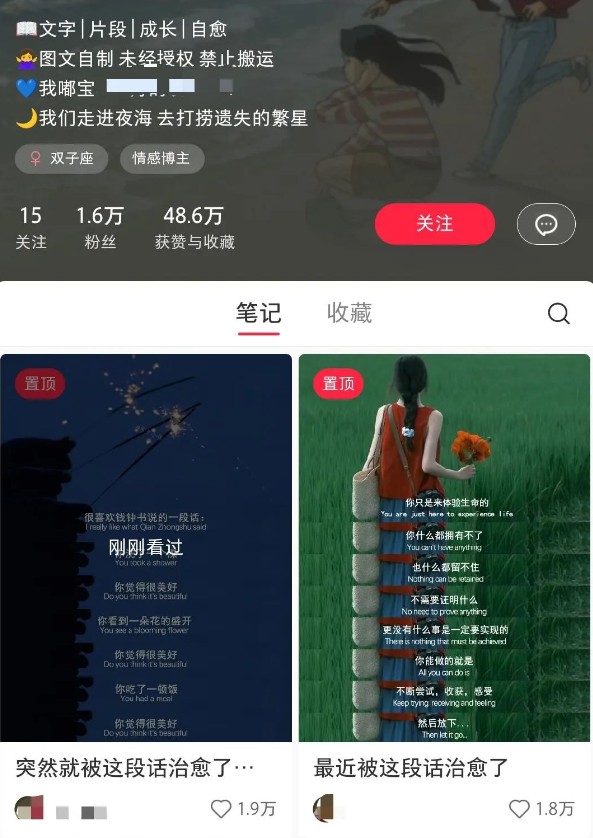 小红书治愈文案图文笔记，零门槛，一分钟制作轻松制作爆款作品月入万元-灼光资源宝库