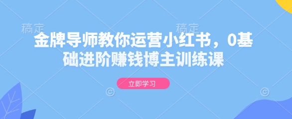 金牌导师教你运营小红书，0基础进阶赚钱博主训练课-灼光资源宝库