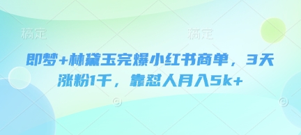即梦+林黛玉完爆小红书商单，3天涨粉1千，靠怼人月入5k+-灼光资源宝库