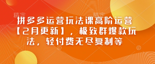 拼多多运营玩法课高阶运营【2月更新】，极致群爆款玩法，轻付费无尽复制等-灼光资源宝库