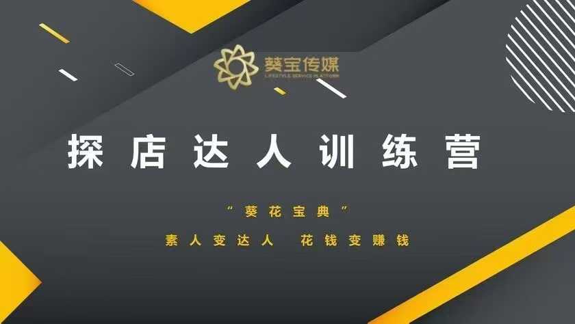 探店达人训练营，素人变达人，花钱变赚钱-灼光资源宝库